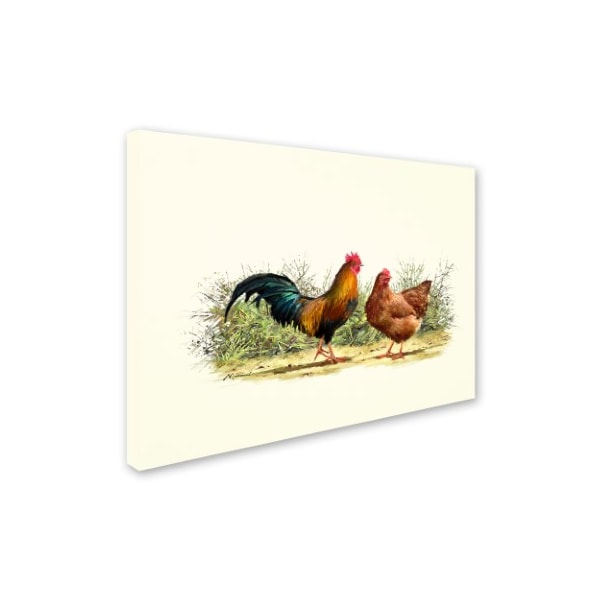 The Macneil Studio 'Cockerel And Hen Copy' Canvas Art,18x24